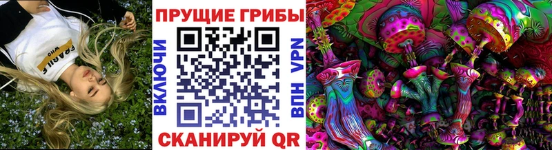 где купить   Южно-Сухокумск  Псилоцибиновые грибы Psilocybine cubensis 