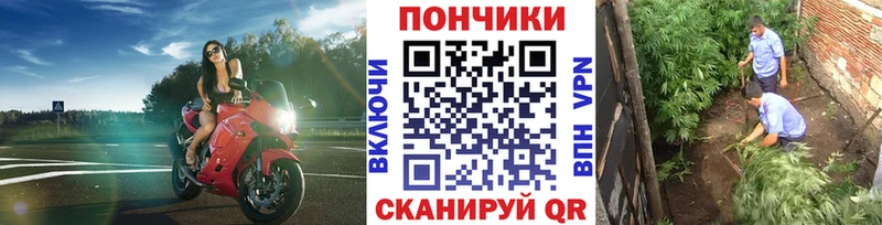 МАРИХУАНА семена  Южно-Сухокумск 